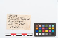 Foto von Elfenbeinschwertknauf (NHMW-PRAE-026406)